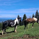 Cosy Au Pied Des Pistes Διαμέρισμα