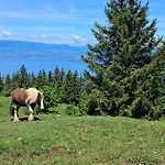 Διαμέρισμα Cosy Au Pied Des Pistes