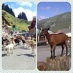 Cosy Au Pied Des Pistes Διαμέρισμα *