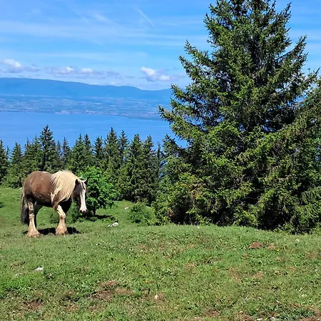 דירה Cosy Au Pied Des Pistes
