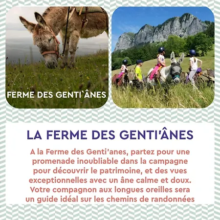 Cosy Au Pied Des Pistes Daire