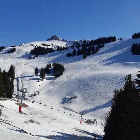 Cosy Au Pied Des Pistes